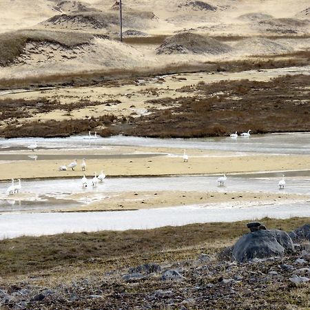 Stekkar 23 Διαμέρισμα Patreksfjordur Εξωτερικό φωτογραφία