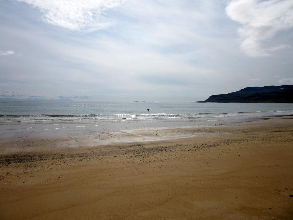 Stekkar 23 Διαμέρισμα Patreksfjordur Εξωτερικό φωτογραφία